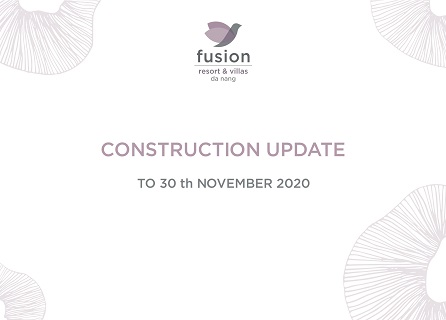 Project progress in November 2020